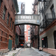 Image for article titled New York City's Futuristic Skybridges Are a Thing of the Past